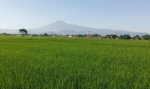 Screenshot_20231104-152047_1